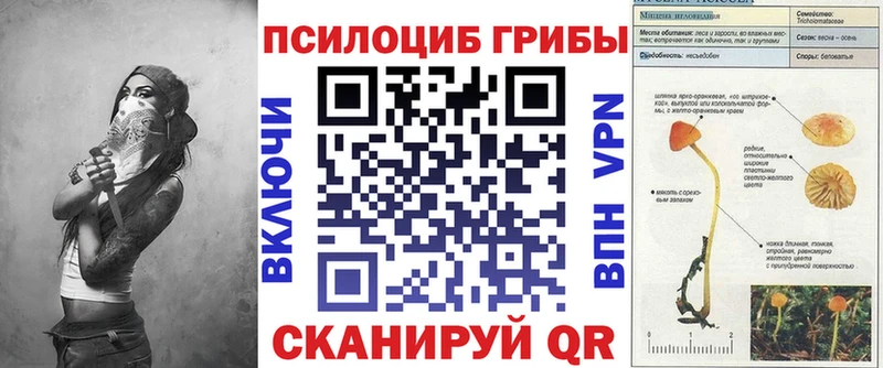 Галлюциногенные грибы прущие грибы  что такое   Гурьевск 