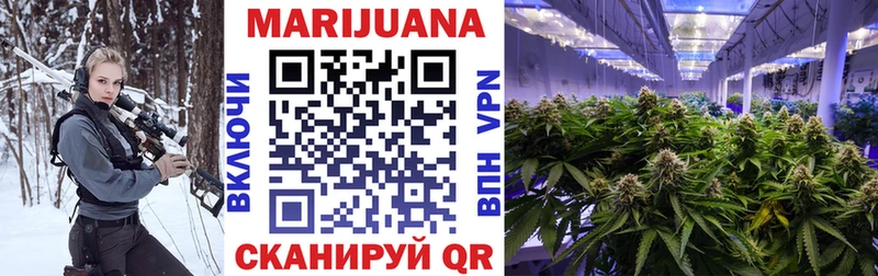 сколько стоит Гурьевск Каннабис SATIVA & INDICA